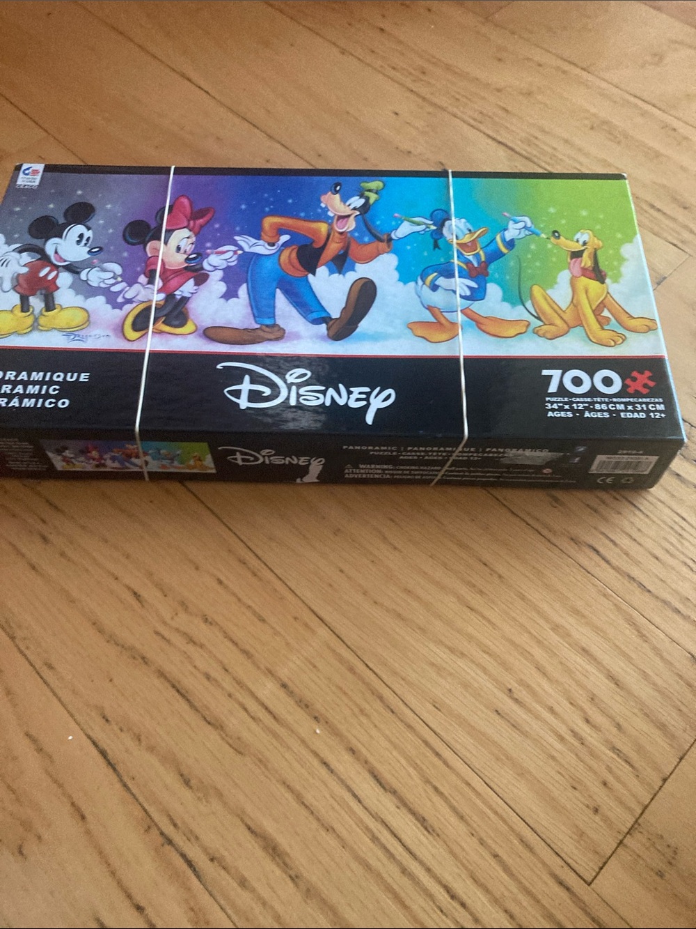 Disney Rainbow Character Puzzle Box - Black Banner with Multicolor Art